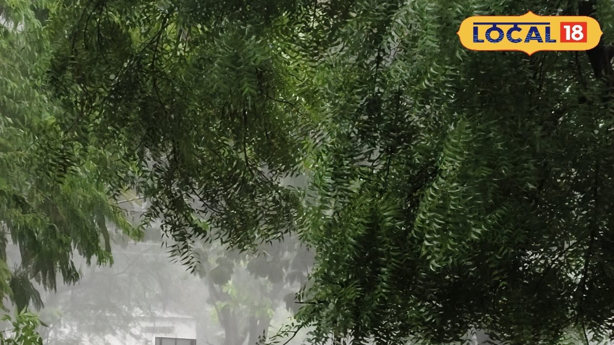 Weather Alert: 24 तास पावसाचे, मराठवाड्यात पुन्हा मुसळधार, छ. संभाजीनगरसह 6 जिल्ह्यांना अलर्ट