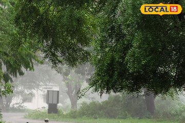 24 तास पावसाचे, मराठवाड्यात पुन्हा मुसळधार, छ. संभाजीनगरसह 6 जिल्ह्यांना अलर्ट 24 तास पावसाचे, मराठवाड्यात पुन्हा मुसळधार, छ. संभाजीनगरसह 6 जिल्ह्यांना अलर्ट