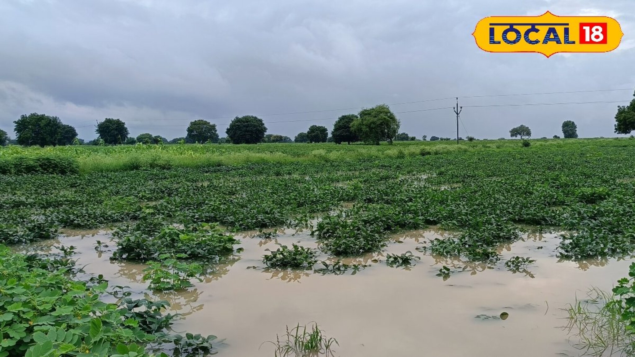मराठवाड्यात पावसाचा हाहाकार, डोळ्यादेखत शेतकऱ्यांचे पीक पाण्यात, मोठं नुकसान