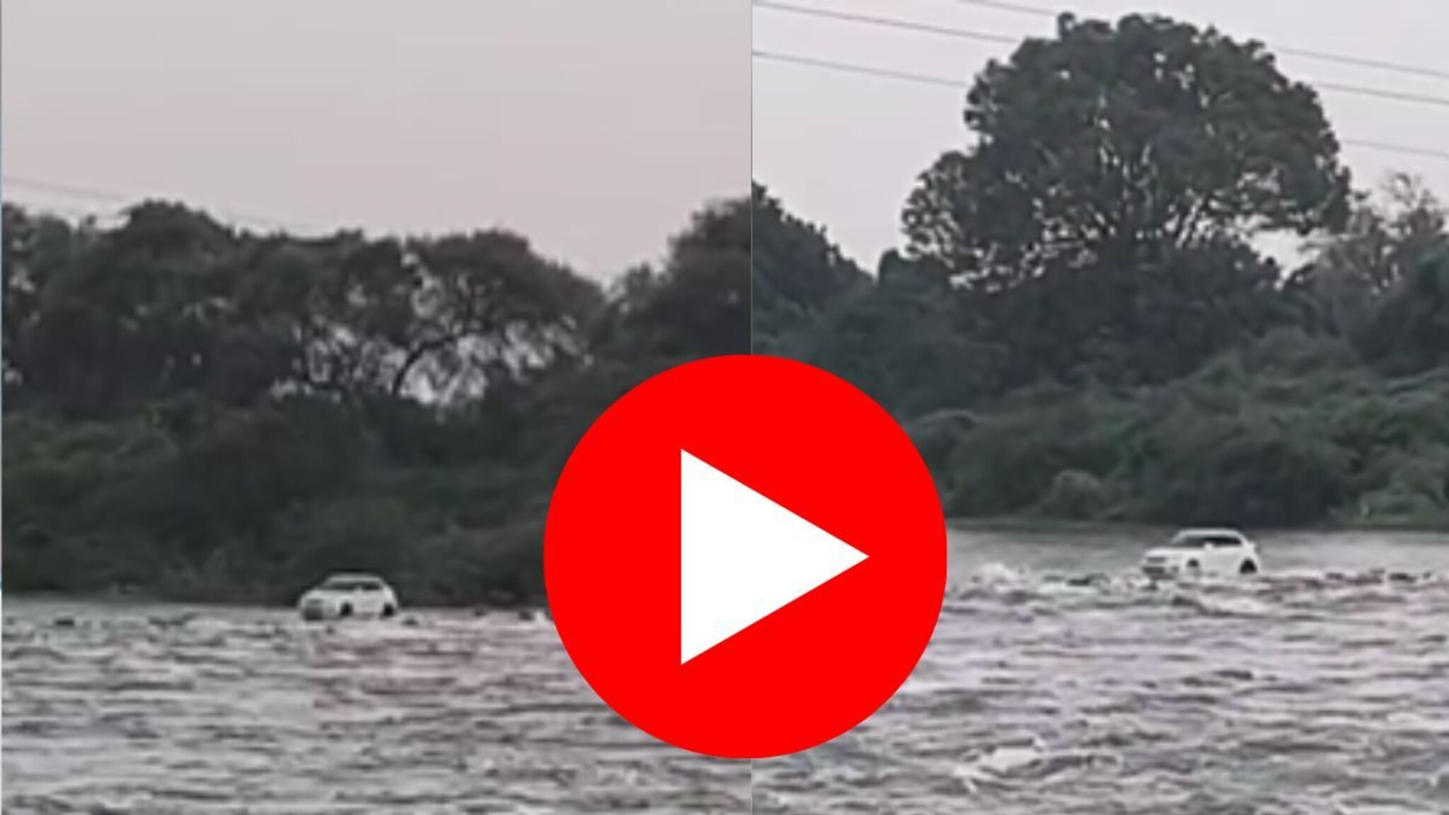 Jayakwadi Dam : धरणाचे 18 दरवाजे उघडले अन् त्याने पुलावर कार घातली, जायकवाडी समोरचा स्टंटबाजीचा VIDEO