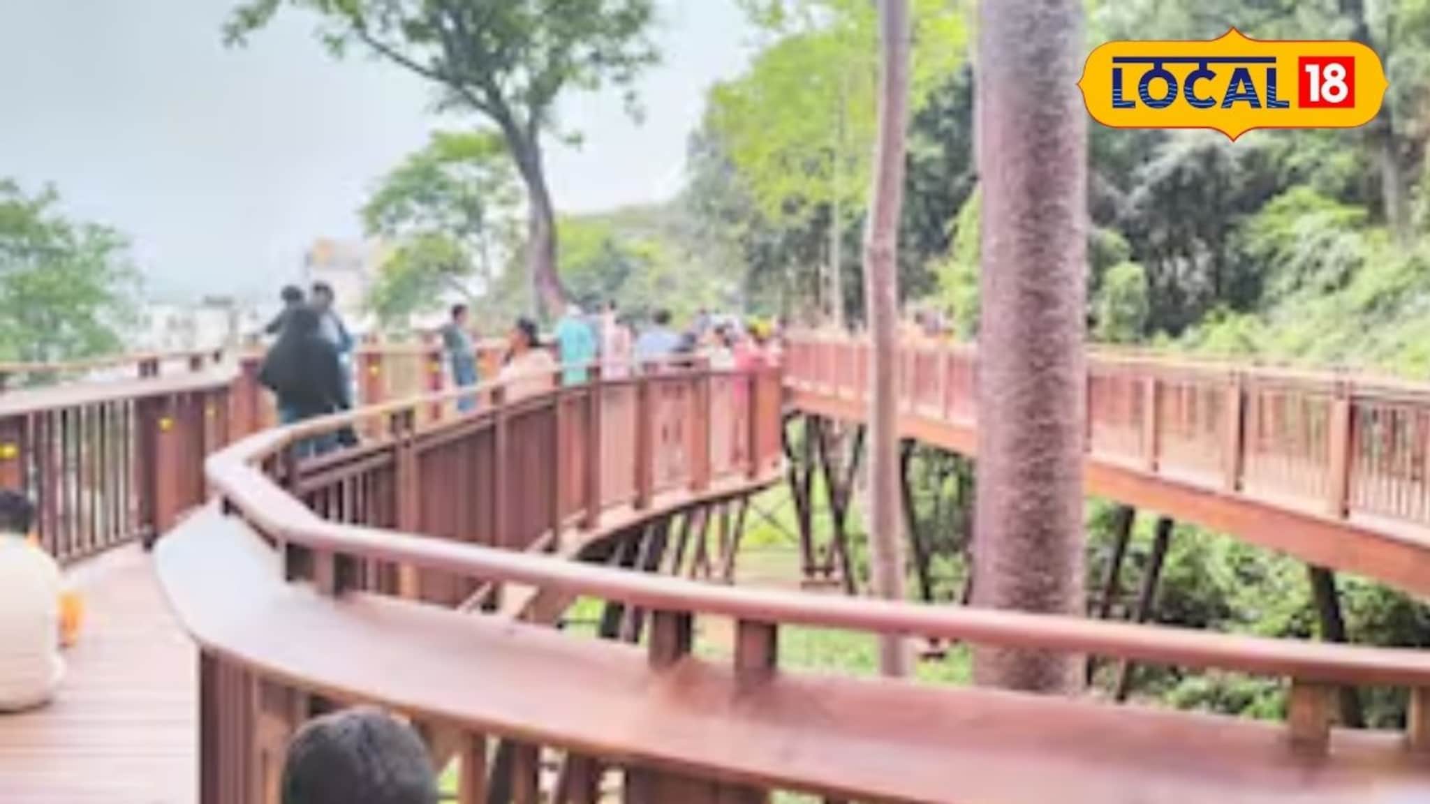 Tree Top Walk: 'पैसा ही पैसा होगा'! 'ट्री टॉप वॉक'ला पर्यटकांचा उदंड प्रतिसाद, महापालिकेच्या तिजोरीत भर