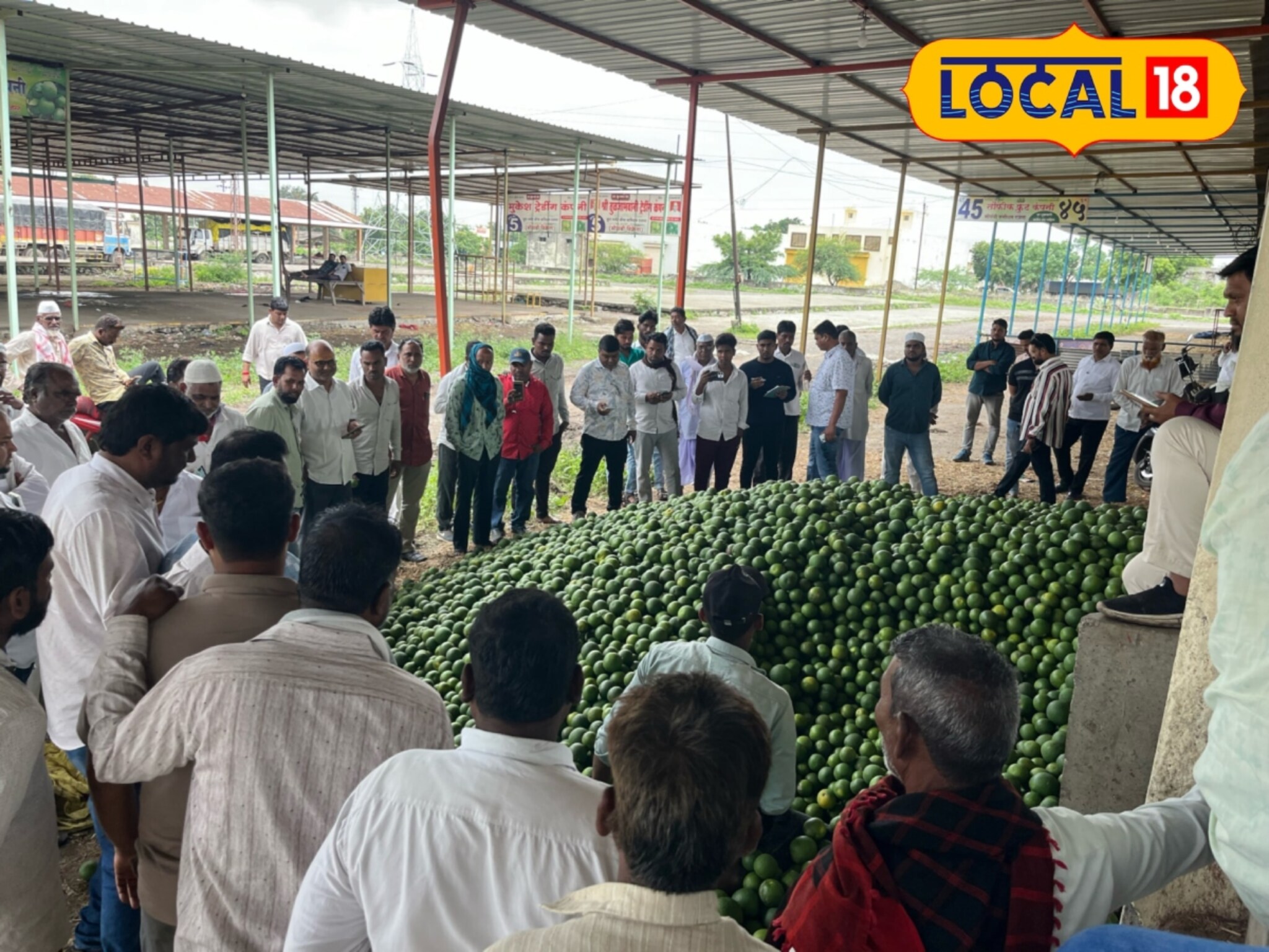 Mosambi Market: मुसळधार पावसानंतर नवं संकट, मोसंबीचे दर 10 हजारांनी कोसळले!