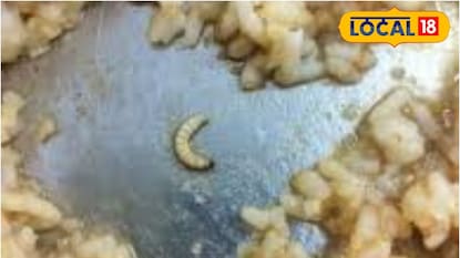 Panvel News: महापालिकेने दिलेल्या नाश्त्यात सापडल्या अळ्या! ठेकेदाराने दिलं अजब स्पष्टीकरण Panvel News: महापालिकेने दिलेल्या नाश्त्यात सापडल्या अळ्या! ठेकेदाराने दिलं अजब स्पष्टीकरण