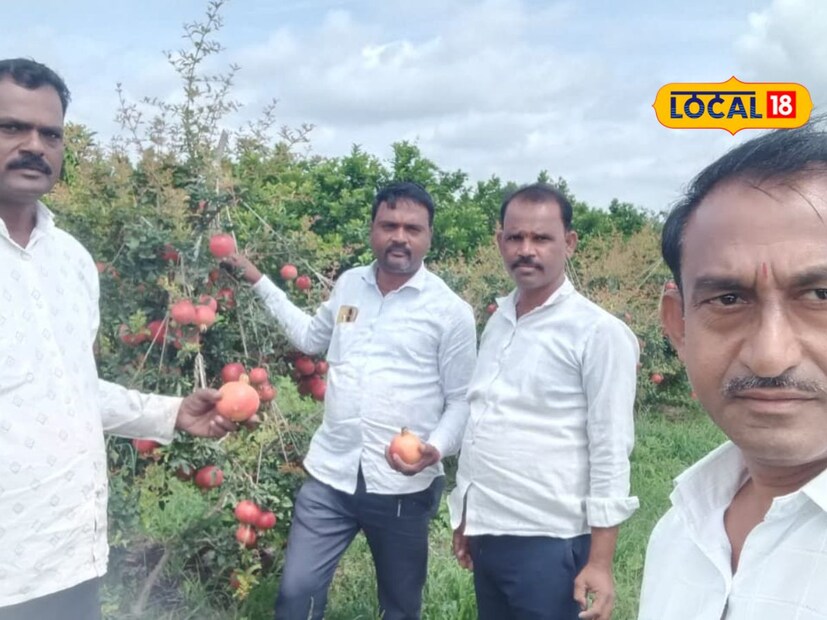 यंदा त्यांच्या डाळिंबांना 120 रुपये प्रति किलो असा विक्रमी भाव मिळाला. पण आठ टन डाळिंबाचे उत्पन्न झाल्यावर यामधून त्यांना 8 लाखांचं उत्पन्न हातामध्ये आलं. तर साडेतीन एकर मोसंबी बागेमधून त्यांना 3 ते 4 लाखांचं उत्पन्न अपेक्षित आहे. एकूण 11 ते 12 लाखांचं उत्पन्न त्यांना यंदा शेतीमधून मिळणार आहे.