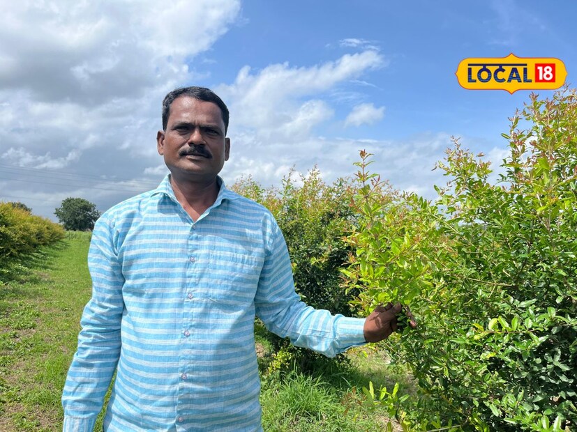 छत्रपती संभाजीनगर जिल्ह्यातील कवडगाव येथील दीपक खाडे असं या शेतकऱ्याचं नाव. दीपक खाडे हे अशिक्षित आहेत. याआधी ते पिकअप चालवायचे. ड्रायव्हर लाईनमध्ये असल्याने अनेक व्यसनं त्यांना होती. जीवनात काहीही उरलं नाही अशा नैराश्याने घेरलं होत होतं.