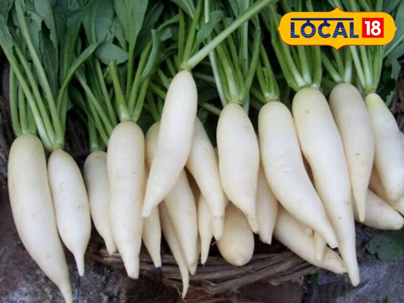 पारंपरिक शेती न करता आधुनिक शेतीची कास धरून विविध पिकांची लागवड केल्यास शेतकऱ्यांना शेतीतून नक्कीच फायदा मिळू शकतो, असा सल्ला शेतकरी विष्णू हराळे यांनी दिला आहे.