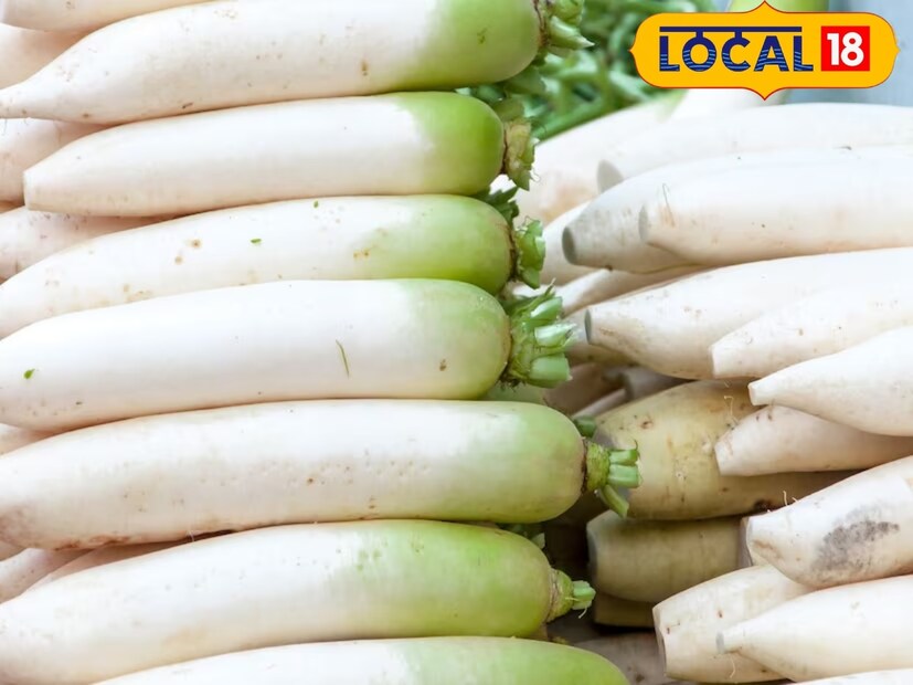 सोलापूर जिल्ह्यातील मोहोळ तालुक्यातील हराळवाडी गावातील अल्पभूधारक शेतकरी विष्णू हराळे यांनी पारंपरिक शेतीला फाटा दिला आहे. त्यांनी अवघ्या 26 गुंठ्यात मुळ्याची लागवड केली आहे. यासाठी त्यांना केवळ 10 हजार रुपये खर्च आला आहे. 