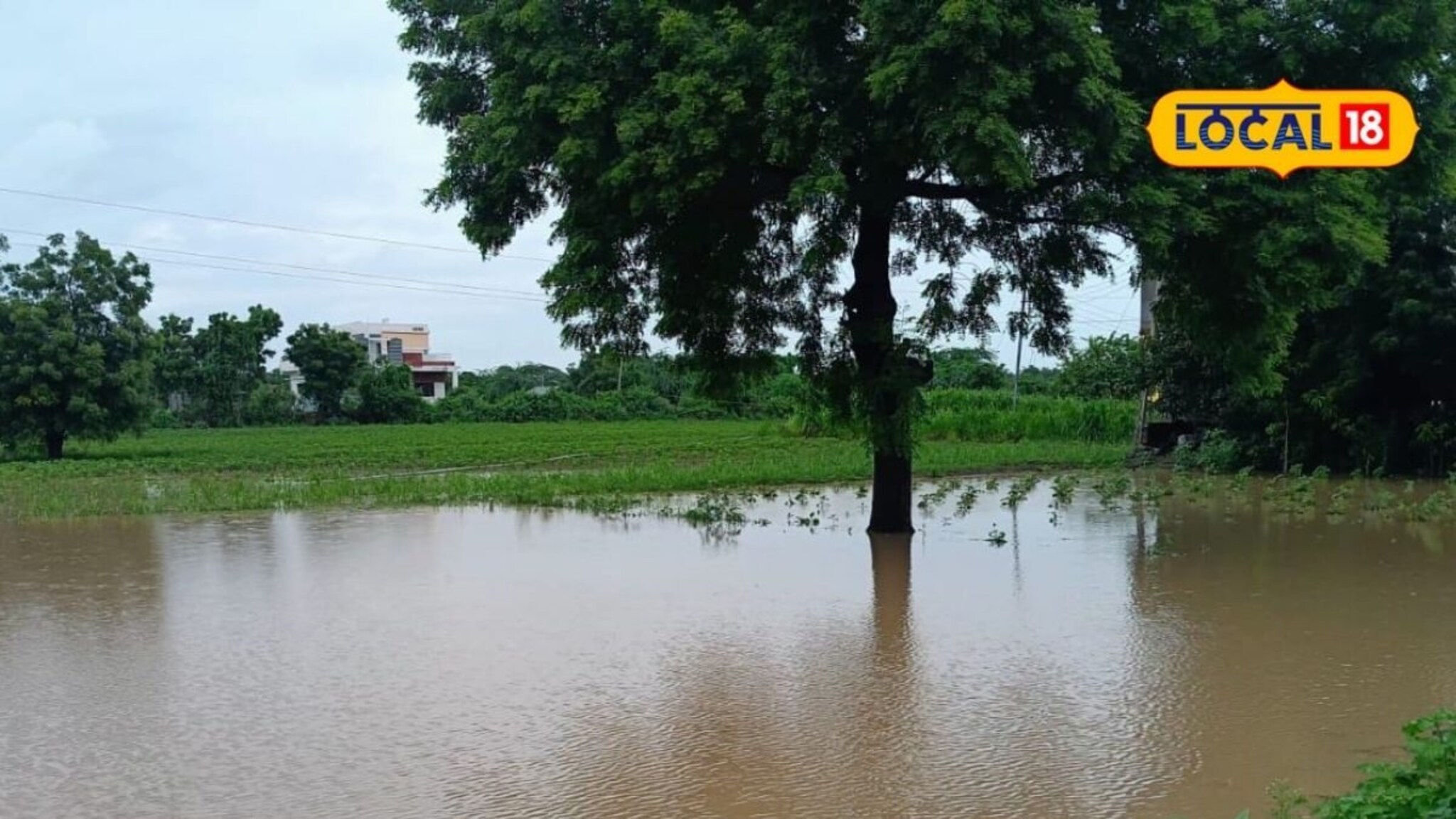 Beed Rain: बीडमध्ये मुंबईसारखा पाऊस, जिकडे तिकडे पाणीच पाणी, शेतीचं झालं तळं, 7 भयावह PHOTOS
