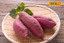 Sweet Potato Benifits: श्रावणात साबुदाना-भगर खाऊन कंटाळलात? पौष्टिक कंदमुळातून मिळतील असंख्य फायदे