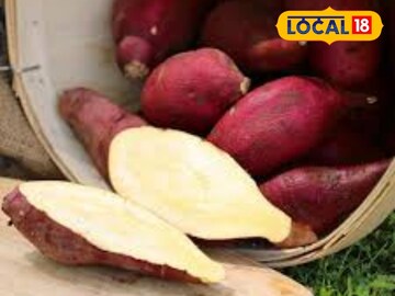 श्रावणात साबुदाना-भगर खाऊन कंटाळलात? पौष्टिक कंदमुळातून मिळतील असंख्य फायदे