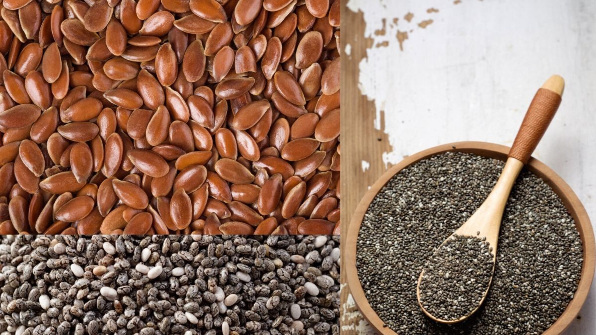 Seeds : पोटासाठी सर्वोत्तम फायबरयुक्त आहार, बद्धकोष्ठतेचा त्रास होईल कमी