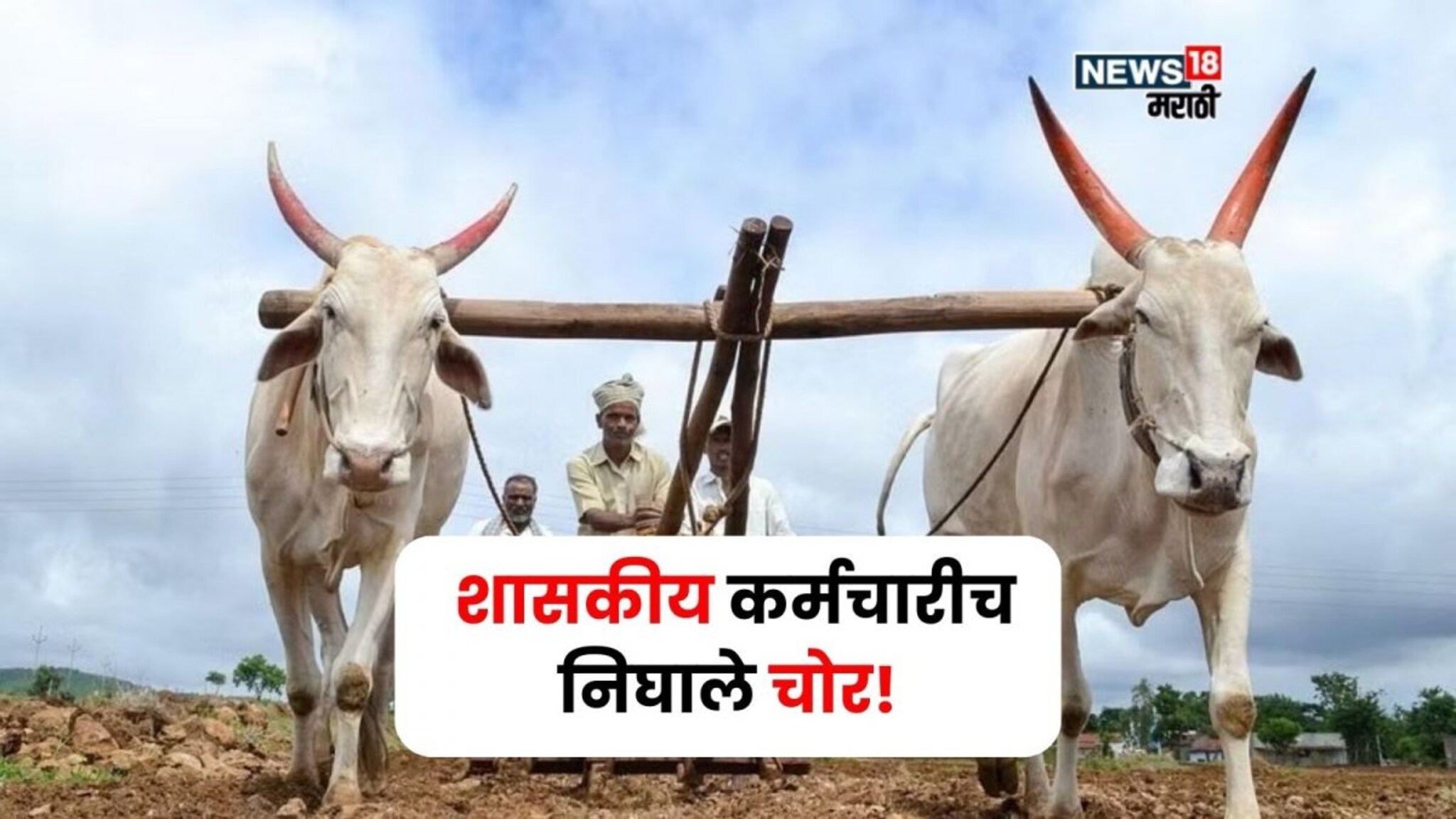 कोट्यवधींचा घोटाळा! 22 तलाठ्यांसह 28 जणांवर गुन्हे दाखल, नावांची यादी आली समोर