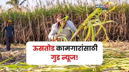 agriculture news agriculture news