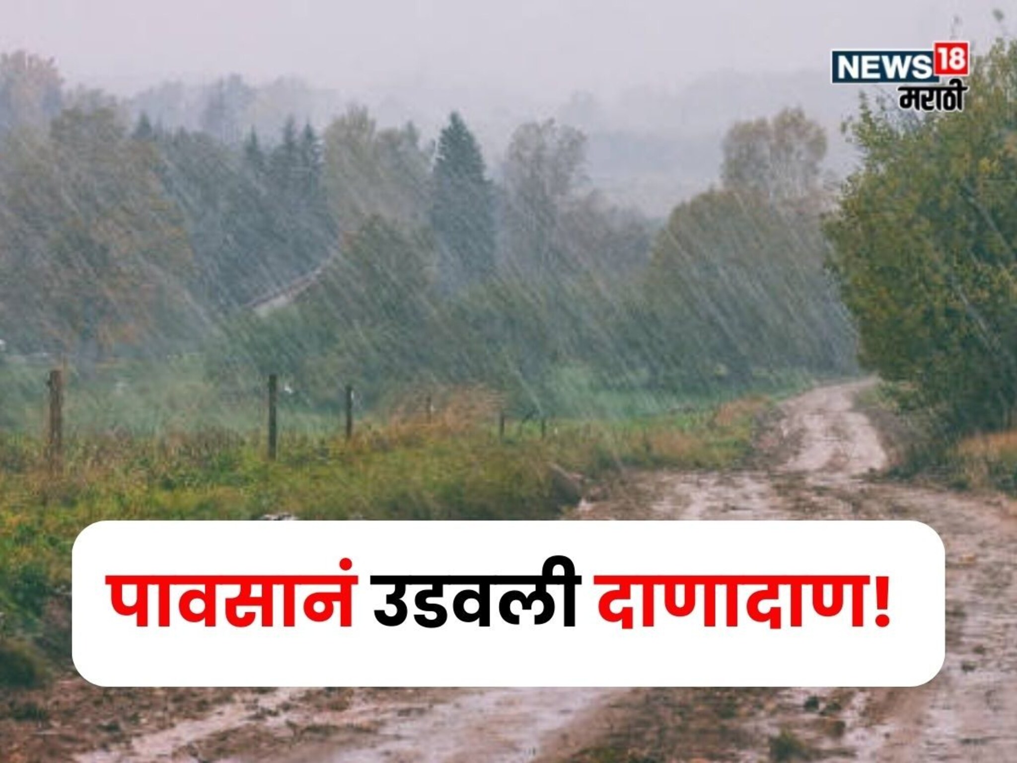 पावसानं उडवली दाणादाण! पिकाचं झालं मोठं नुकसान,या जिल्ह्यांत नदी नाल्यांना आला पूर