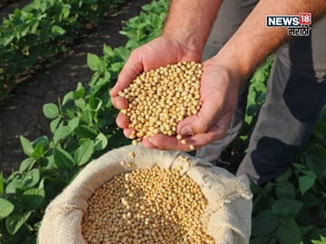 agriculture news 