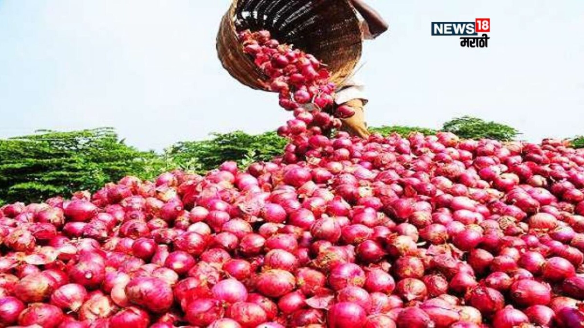 मोठा दिलासा! 'या' कांदा उत्पादक शेतकऱ्यांना अनुदानाचे पैसे मिळणार