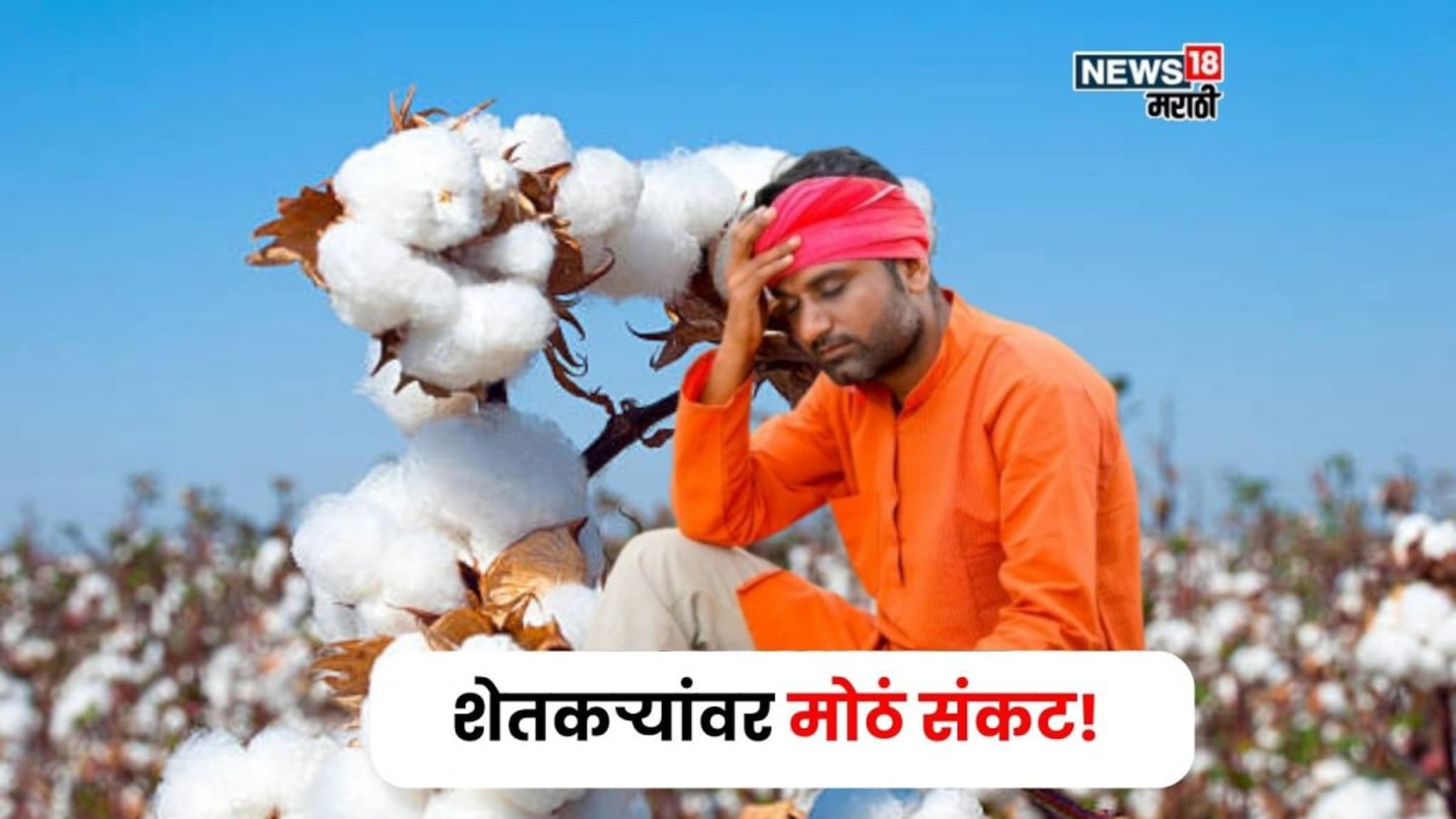 कापूस उत्पादक शेतकऱ्यांवर मोठं संकट, केंद्र सरकारच्या 'त्या' निर्णयाचा फटका, दर कोसळणार