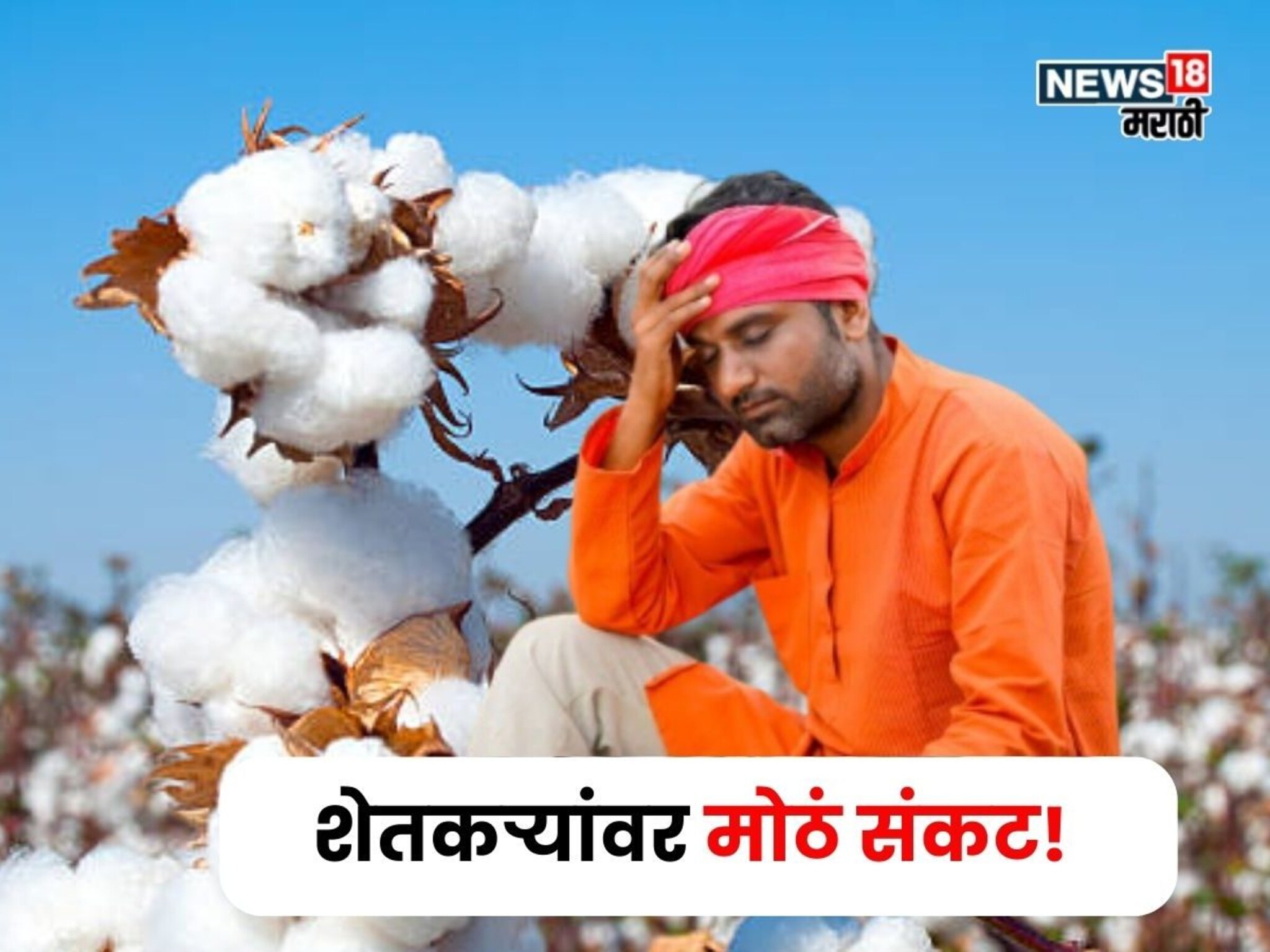 कापूस उत्पादक शेतकऱ्यांवर मोठं संकट, केंद्र सरकारच्या 'त्या' निर्णयाचा फटका, दर कोसळणार