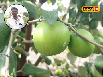 Agriculture