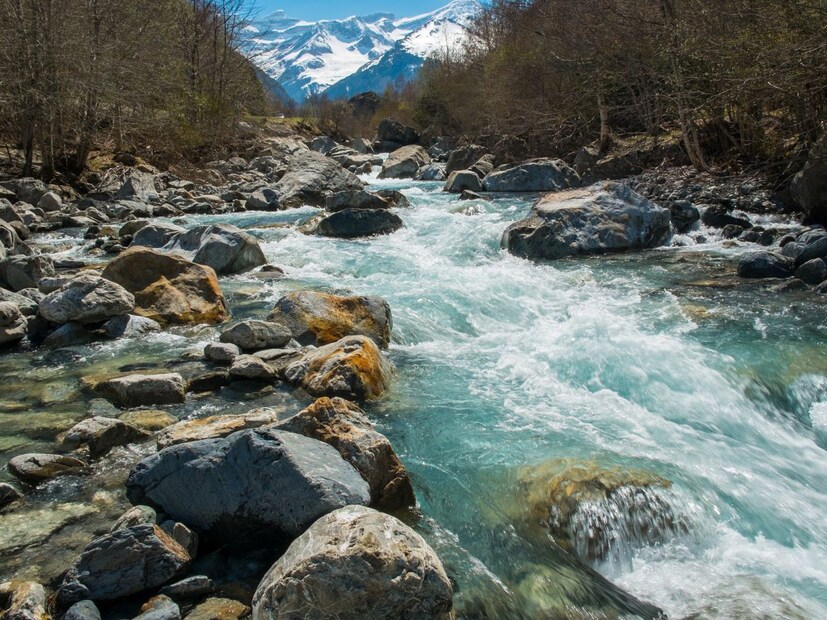 नाईल नदीचं महत्त्व केवळ तिच्या लांबीपुरतं नाही, तर तिच्या सभोवतालच्या संस्कृतींशी, इतिहासाशी आणि लोकजीवनाशी जोडलेलं आहे. इजिप्तची प्राचीन संस्कृती, शेती आणि व्यापार या सगळ्याचं केंद्र ही नदी आहे. या नदीच्या किनाऱ्यावर अनेक ऐतिहासिक घटना घडल्या आणि आदिवासी जमातींचं जीवनही तिच्याभोवतीच फिरतं.