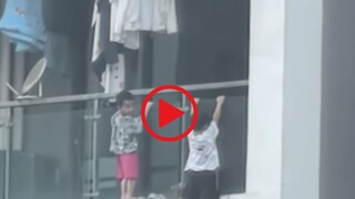 व्हायरल व्हिडीओ