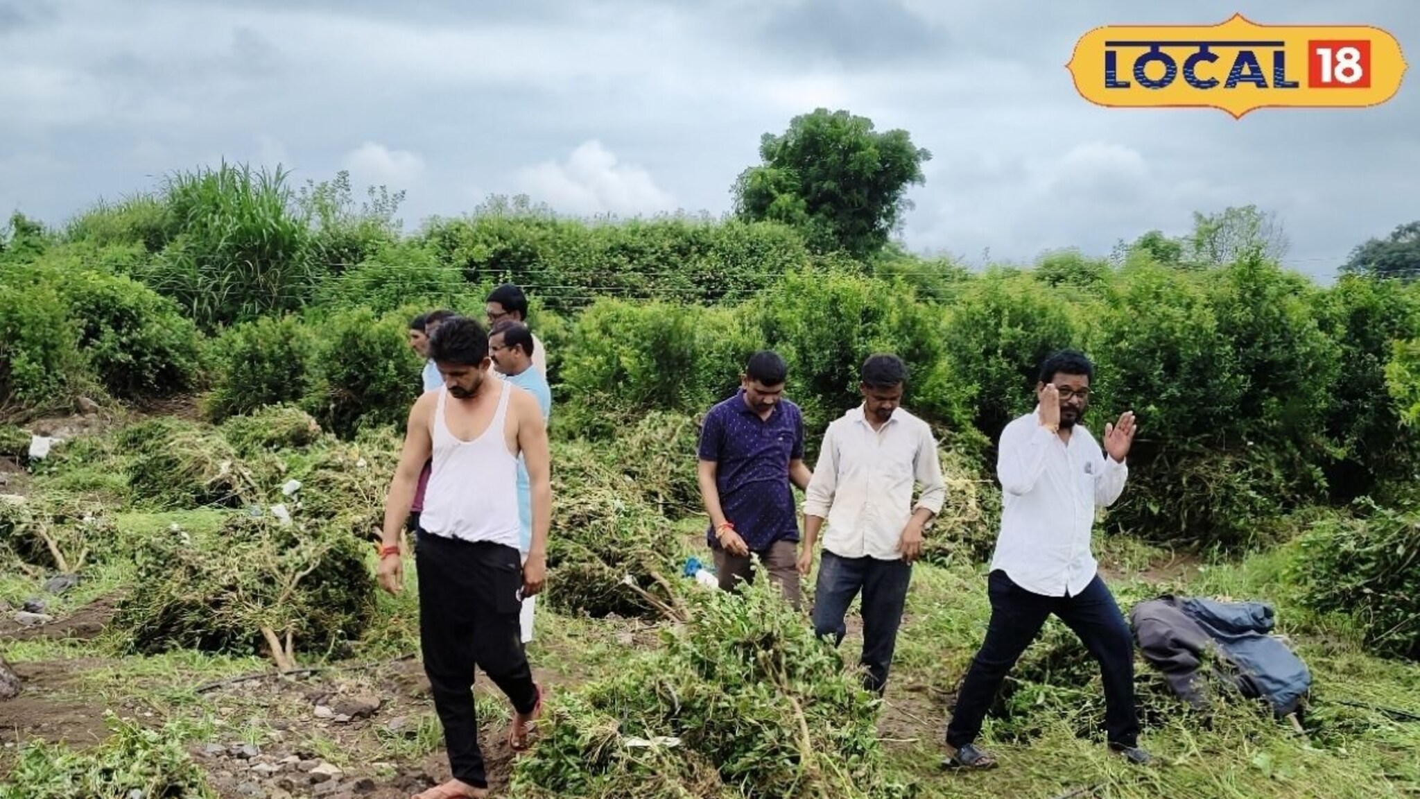 Agriculture: मराठवाड्यात पावसाचा कहर, डाळिंबाची बाग उद्ध्वस्त, शेतकऱ्याच्या डोळ्यात पाणी!