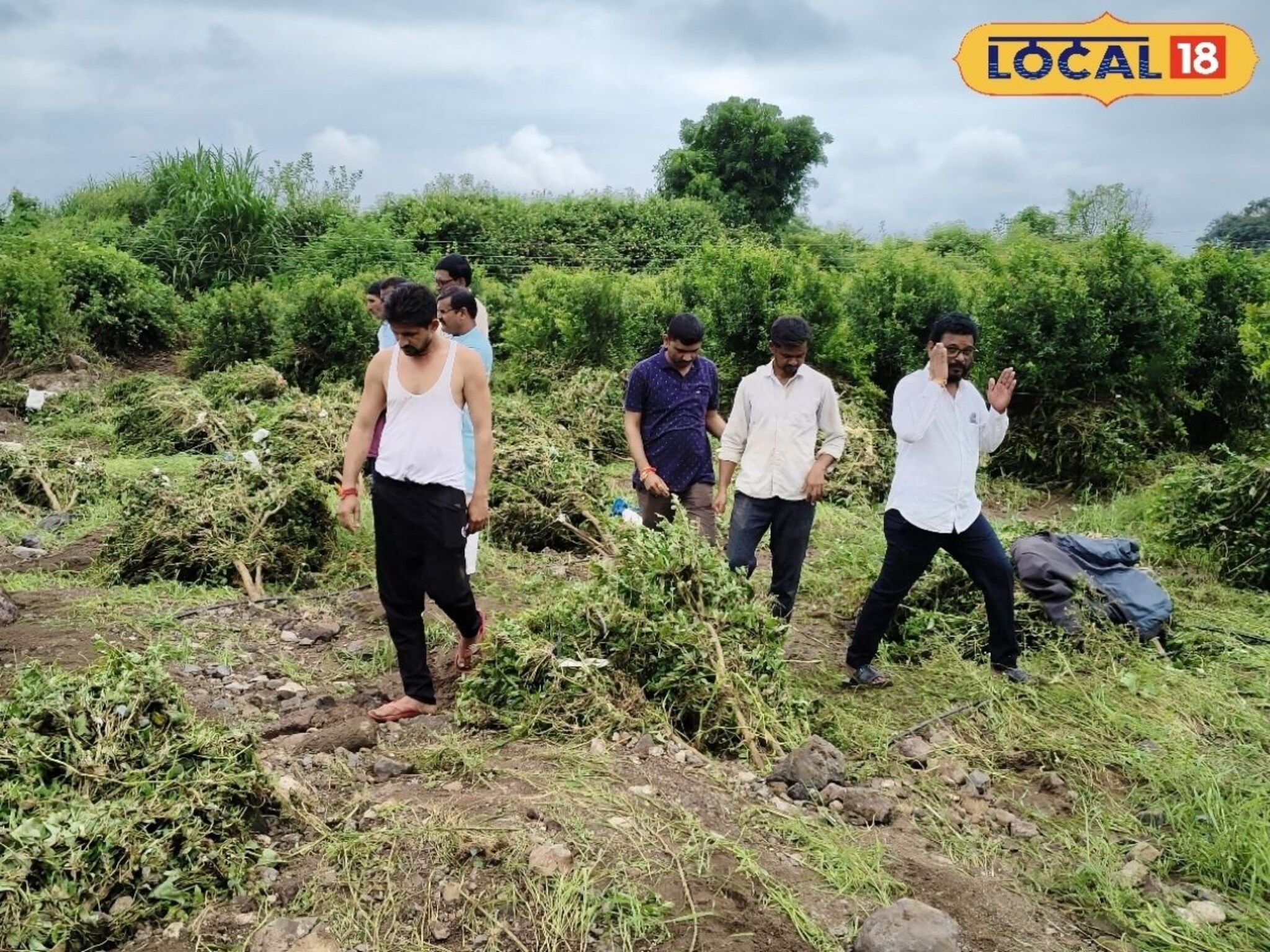 Agriculture: मराठवाड्यात पावसाचा कहर, डाळिंबाची बाग उद्ध्वस्त, शेतकऱ्याच्या डोळ्यात पाणी!