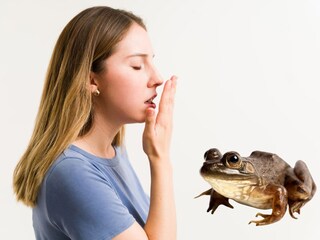 प्रतिकात्मक फोटो प्रतिकात्मक फोटो