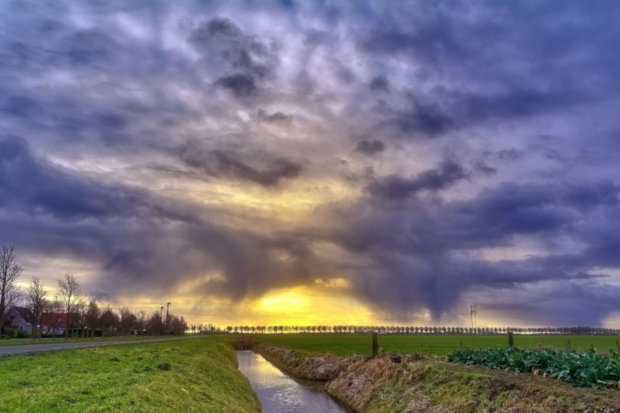 शेतात गेला तो परतलाच नाही, मग रक्ताच्या थारोळ्यात...घरजावयाच्या संशयास्पद मृत्यू