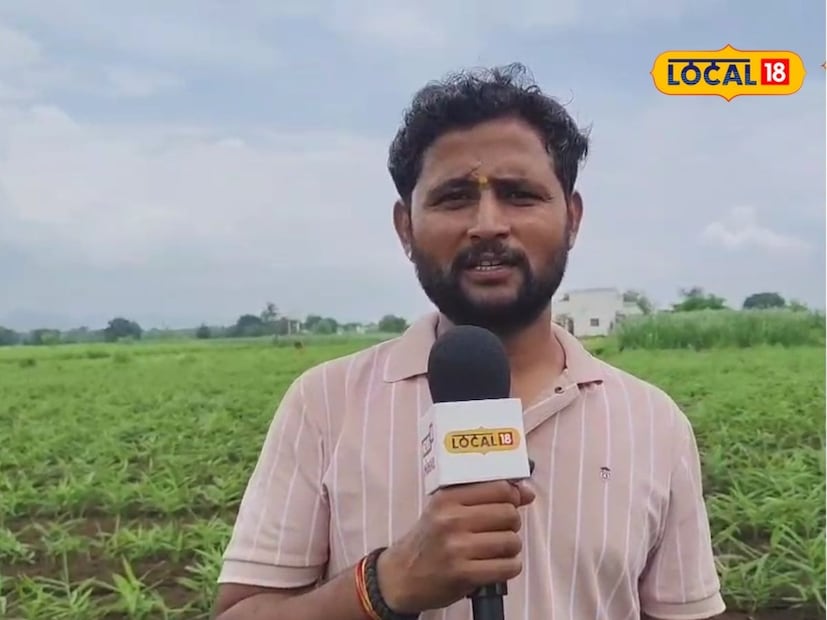 सध्याच्या काळात अनेक शेतकरी पारंपरिक शेतीला फाटा देत वेगळे प्रयोग करत आहेत. छत्रपती संभाजीनगरमधील युवा शेतकऱ्याने असाच प्रयोग आपल्या शेतात केला असून त्यातून लाखोंची कमाई होतेय. अविनाश सपकाळ असं या युवा शेतकऱ्याचं नाव आहे. सध्याच्या काळात अनेक शेतकरी पारंपरिक शेतीला फाटा देत वेगळे प्रयोग करत आहेत. छत्रपती संभाजीनगरमधील युवा शेतकऱ्याने असाच प्रयोग आपल्या शेतात केला असून त्यातून लाखोंची कमाई होतेय. अविनाश सपकाळ असं या युवा शेतकऱ्याचं नाव आहे.