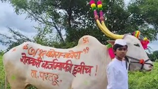 bail pola 2025 bail pola 2025