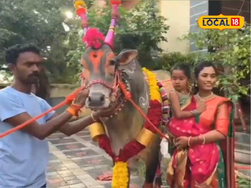 मनोहर यांनी चार वर्षांचा लखन दोन वर्षांपूर्वी साडेबारा लाखांना विकत घेतला होता. या दोन वर्षांत त्याने आपल्या मालकाला तब्बल 70 लाखांची कमाई करून दिली आहे. विविध शर्यतीत भाग घेऊन त्याने तीन बुलेट आणि चौदा दुचाकी जिंकल्या आहेत.