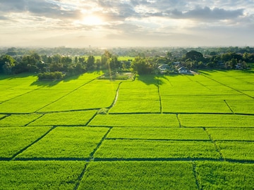 General Knowledge : 1 एकर म्हणजे किती गुंठा? आणि स्क्वेअर फीटमध्ये नक्की किती? General Knowledge : 1 एकर म्हणजे किती गुंठा? आणि स्क्वेअर फीटमध्ये नक्की किती?