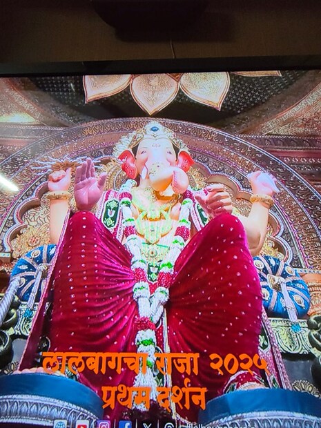  गणपती आणि लालबाग हे समीकरण फक्त मुंबईतच नाही तर संपूर्ण राज्यभरात माहित आहे. लालबागचा राजाची विशेष ख्याती आहे. 