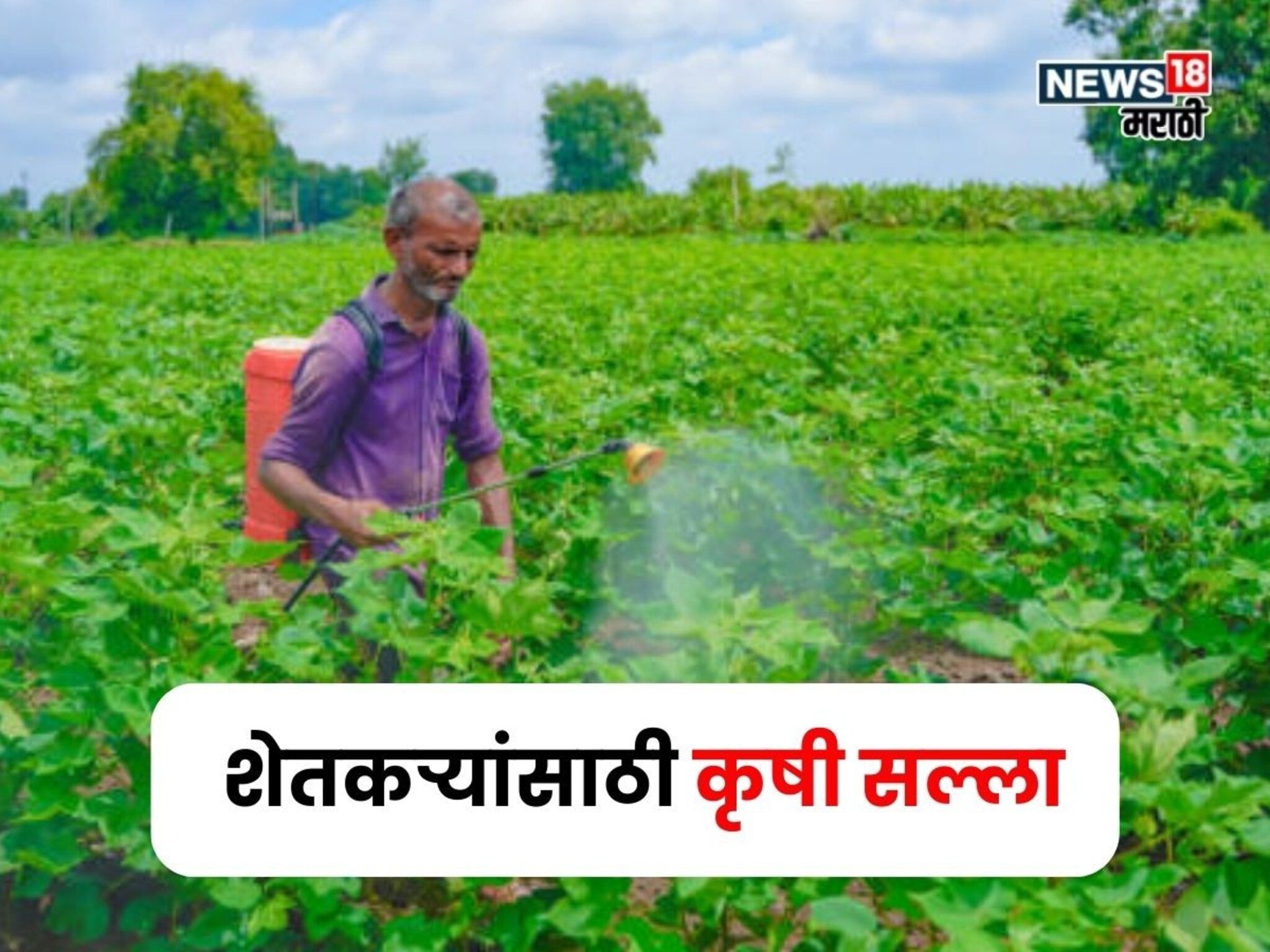 अतिपावसामुळे खरीप पिकांची मुळे कुजू नये यासाठी काय काळजी घ्यावी? A TO Z माहिती