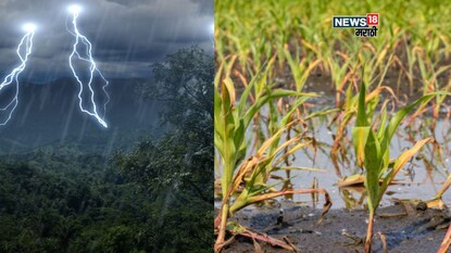 maharashtra rain update maharashtra rain update