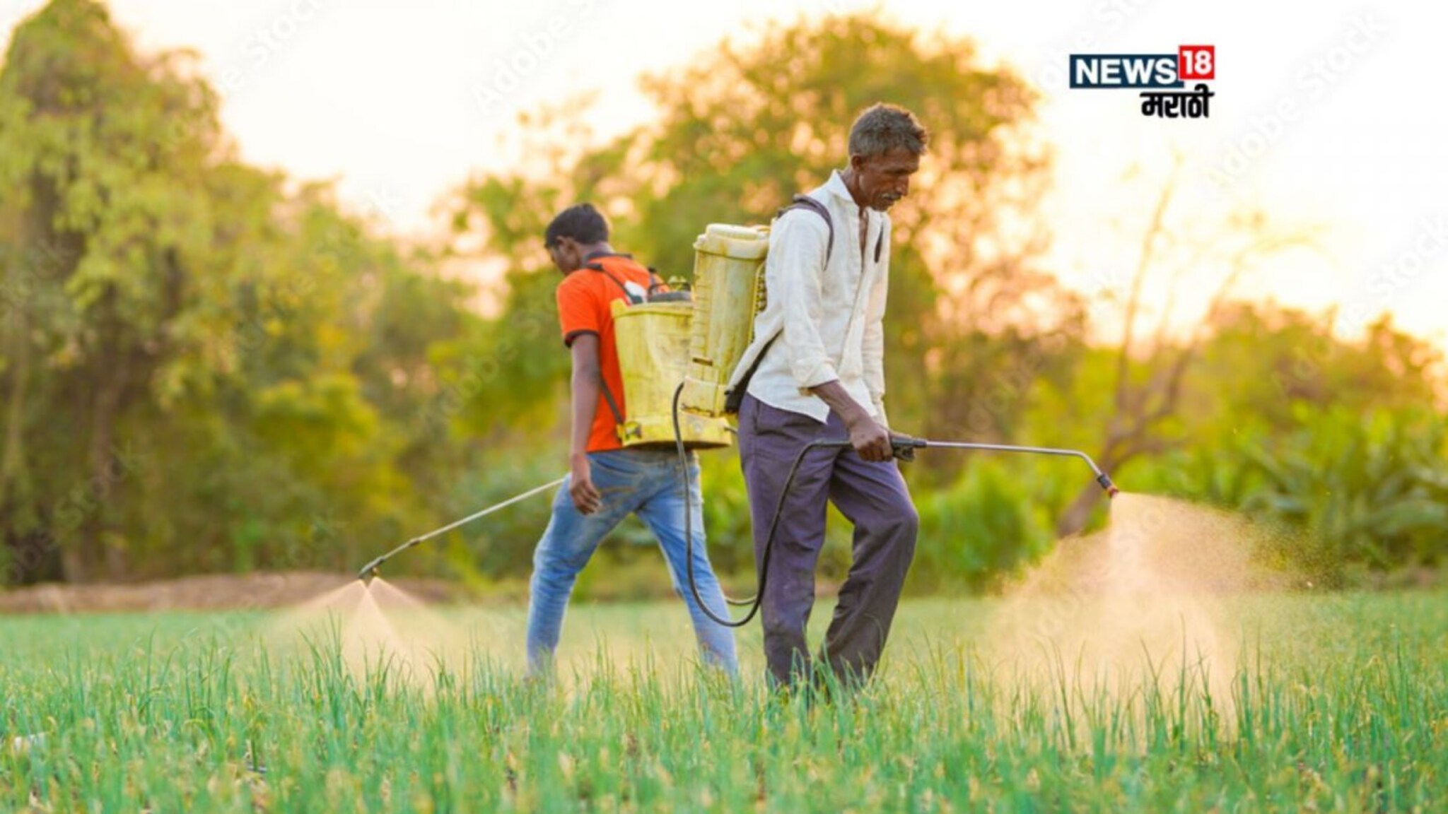चिंता वाढली! 9 जिल्ह्यांना पाऊस झोडपणार, पिकांच्या खतं फवारणीचे नियोजन कसं कराल?