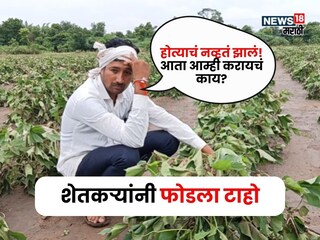 agriculture news 