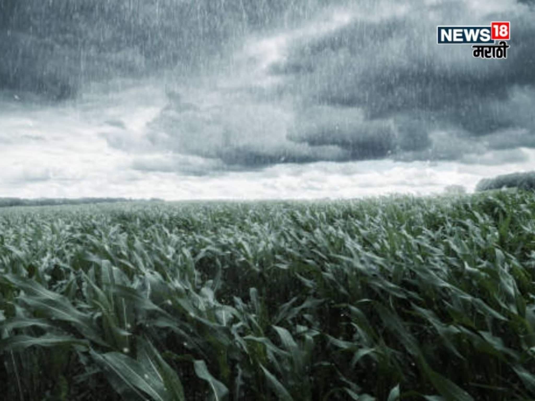आजचा दिवस मुसळधार पावसाचा! 13 जिल्ह्यांना हाय अलर्ट जाहीर, खरीप पिकांवर संकट