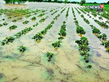 Maharashtra Weather Update 