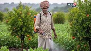maharashtra weather update 