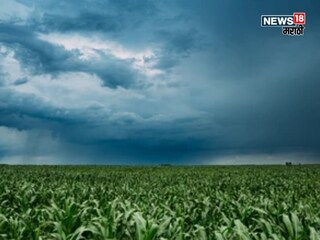 maharashtra weather update 