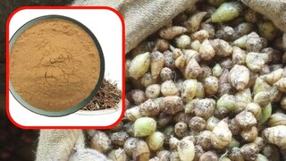 अमरकंदचे फायदे