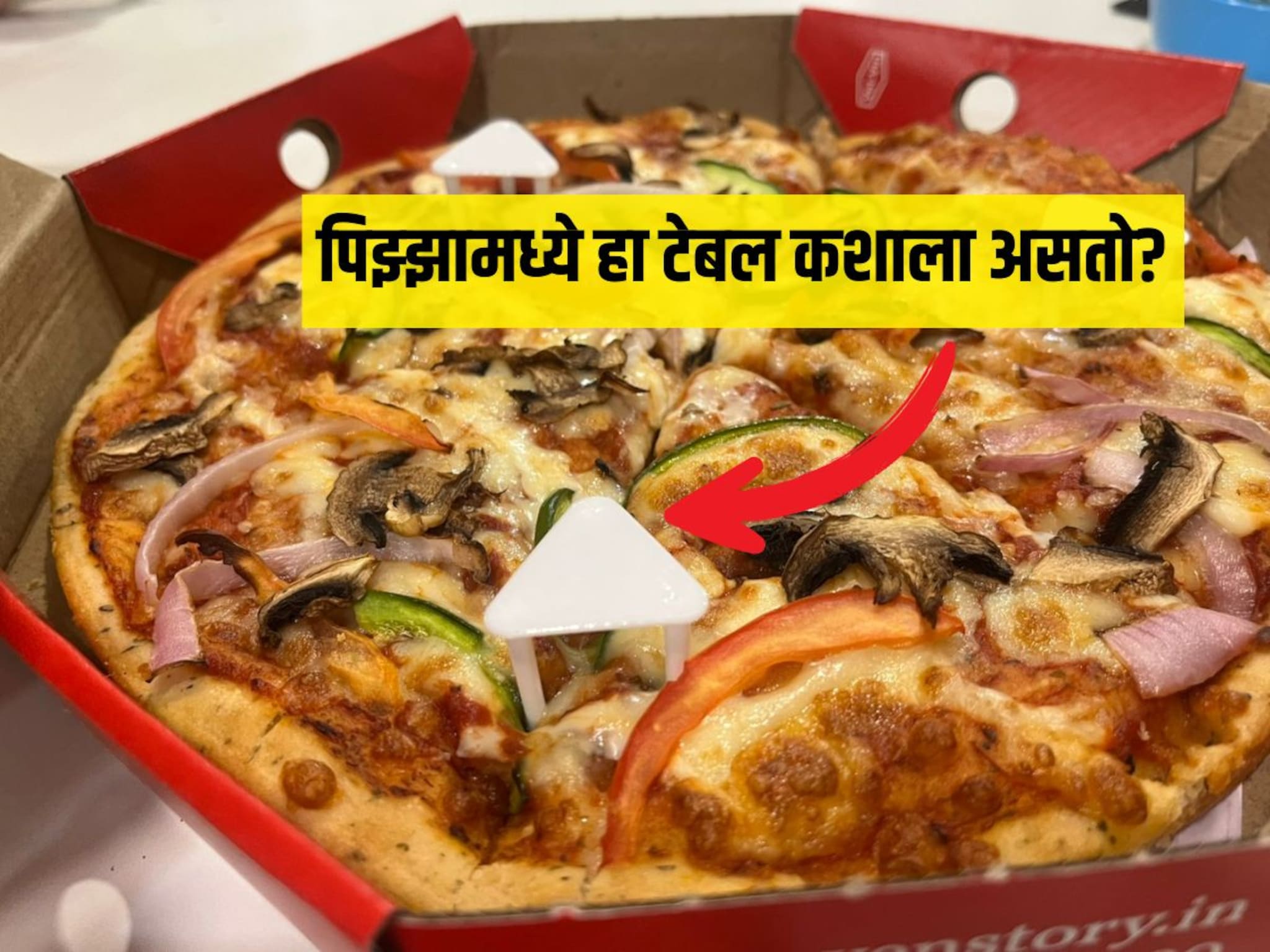 General Knowledge : पिझ्झाच्या बॉक्समध्ये लहान टेबलसारखी वस्तू का ठेवतात? फक्त 1 टक्के लोकांना माहित असेल योग्य वापर