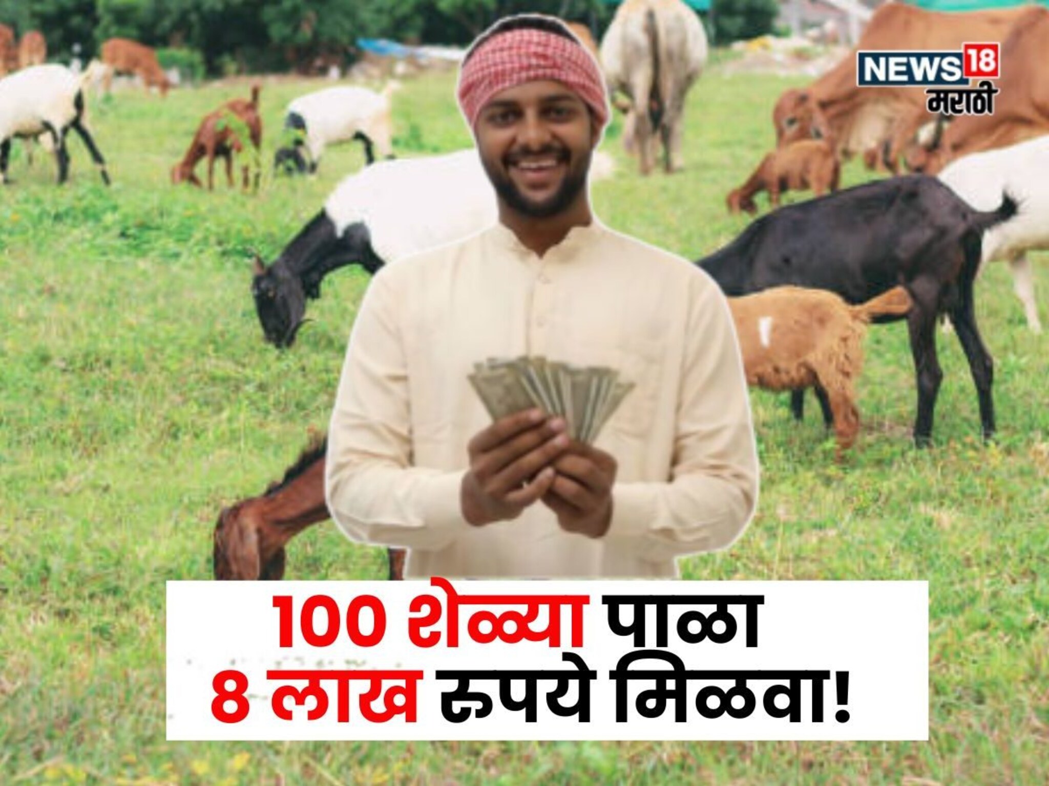 100 शेळ्या पाळा अन् सरकारकडून 8 लाख रुपये मिळवा! पात्रता,अर्जप्रक्रिया कशी कराल?