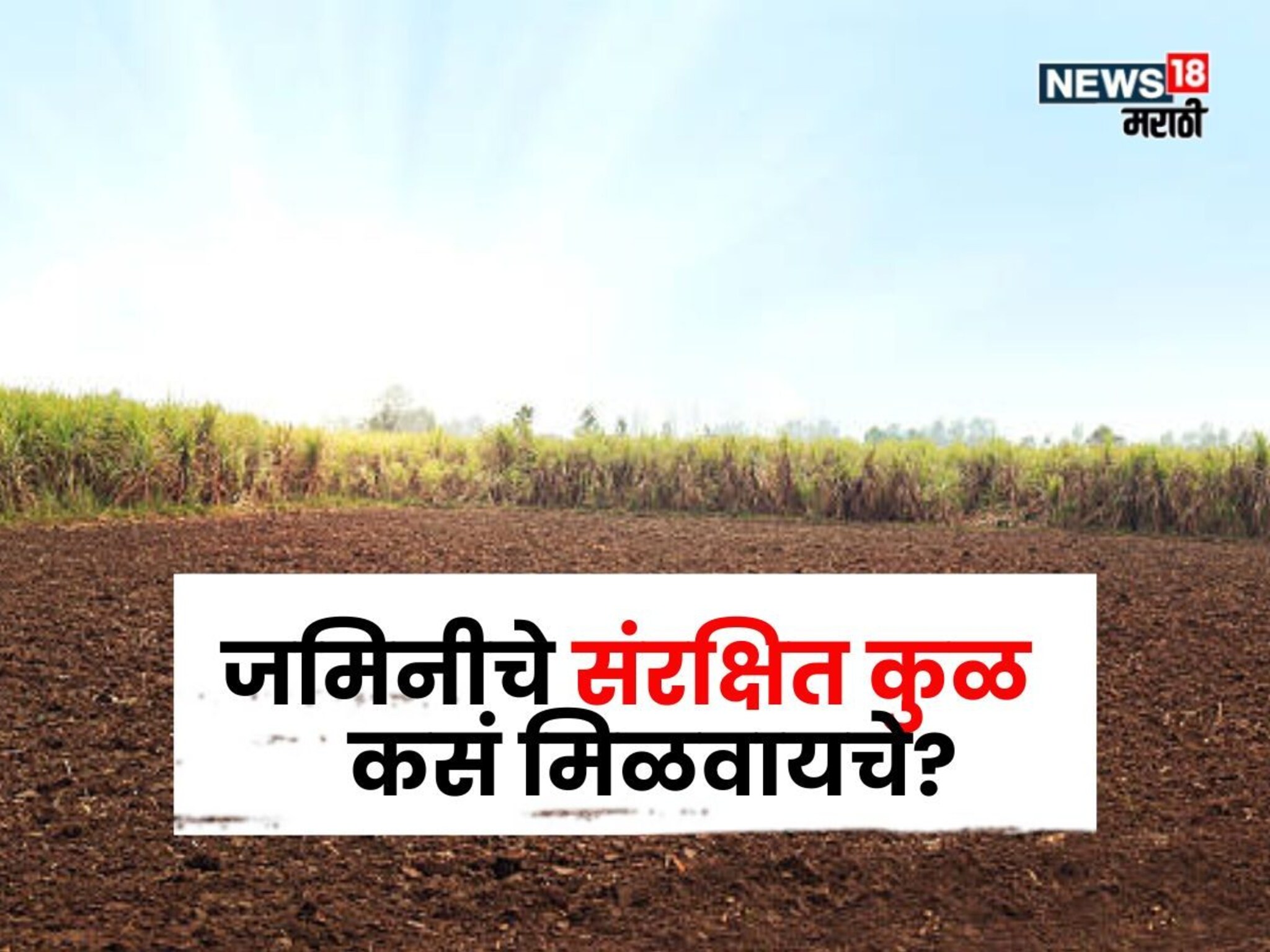 जमिनीचे संरक्षित कुळ मिळवण्यासाठी काय करावे? प्रक्रिया, नियम, कायदा काय सांगतो?