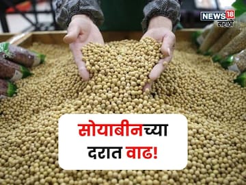 Soybean Market Soybean Market