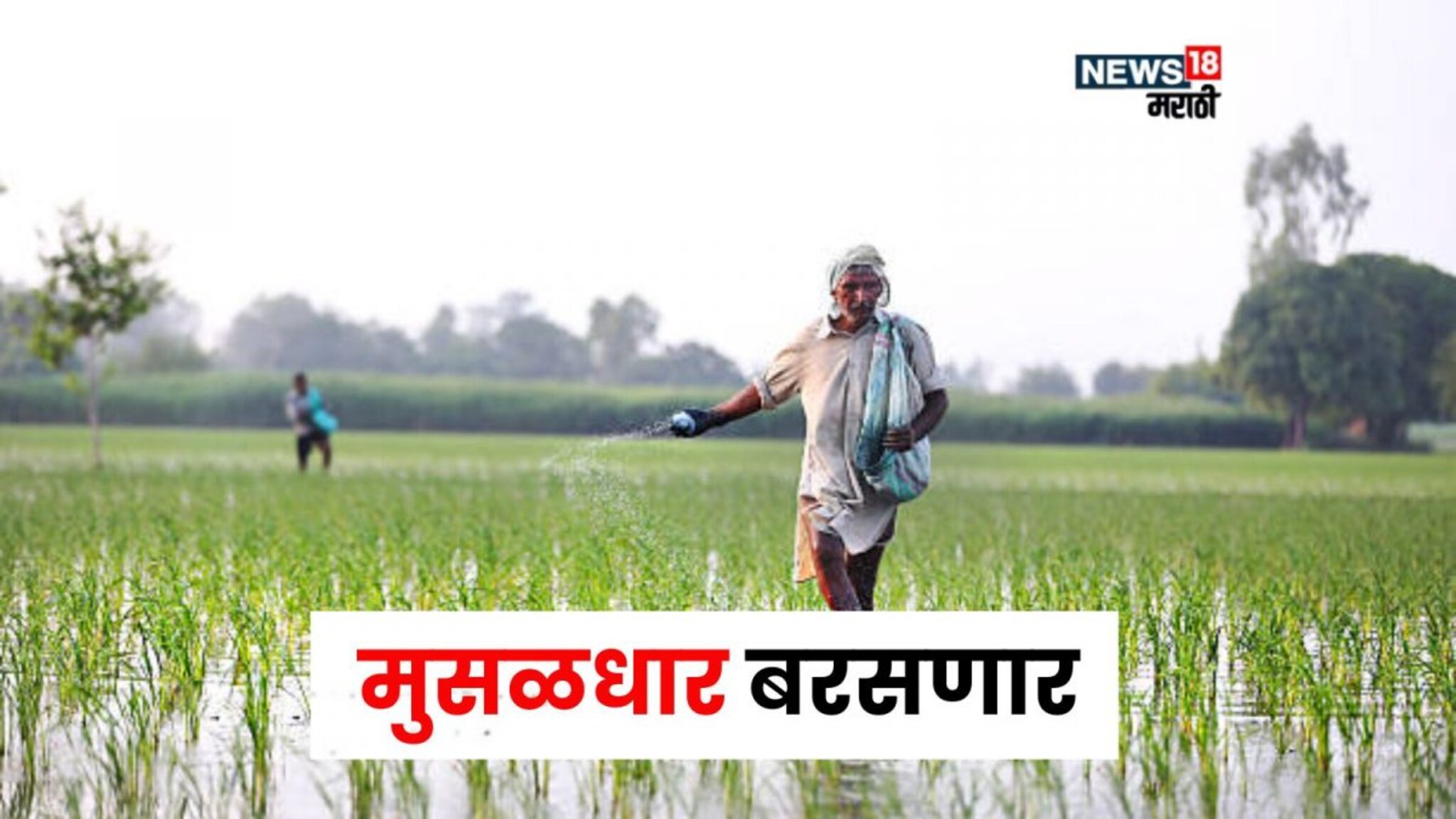 शेतकऱ्यांनो वारं फिरलं! 5 जिल्ह्यांत पाऊस धुमाकूळ घालणार, हवामान विभागाकडून अलर्ट