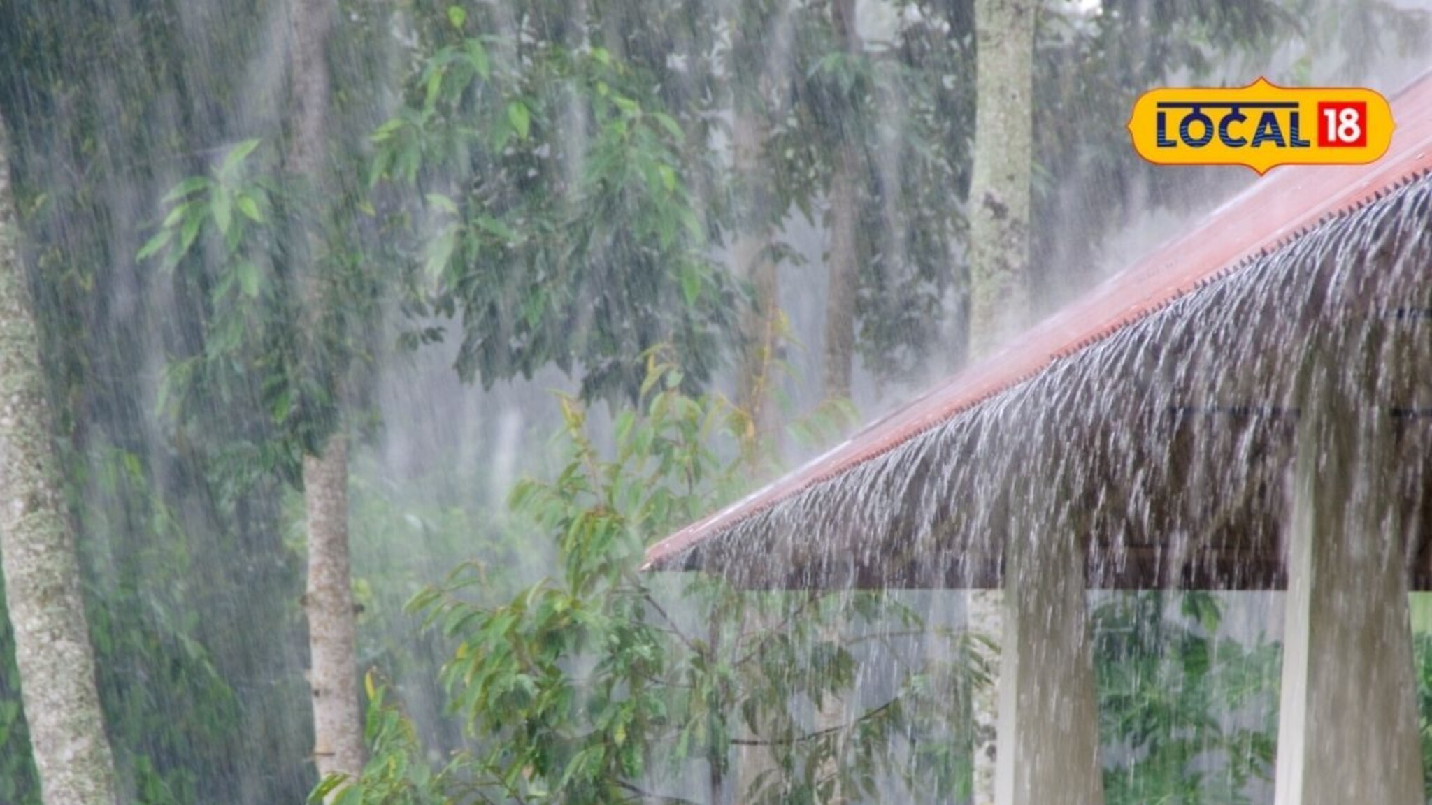 शुक्रवारी राज्यात पुन्हा मुसळधार पाऊस कोसळणार, 15 जिल्ह्यांना अलर्ट