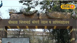 Mumbai News: बाप्पाच्या आगमनासाठी बदलली राणीच्या बागेची वेळ, कसे असतील बदल?